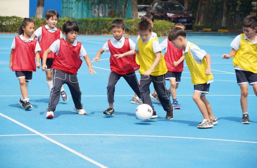 b4966235-0043-4b4b-aa73-01fee70cc5f4