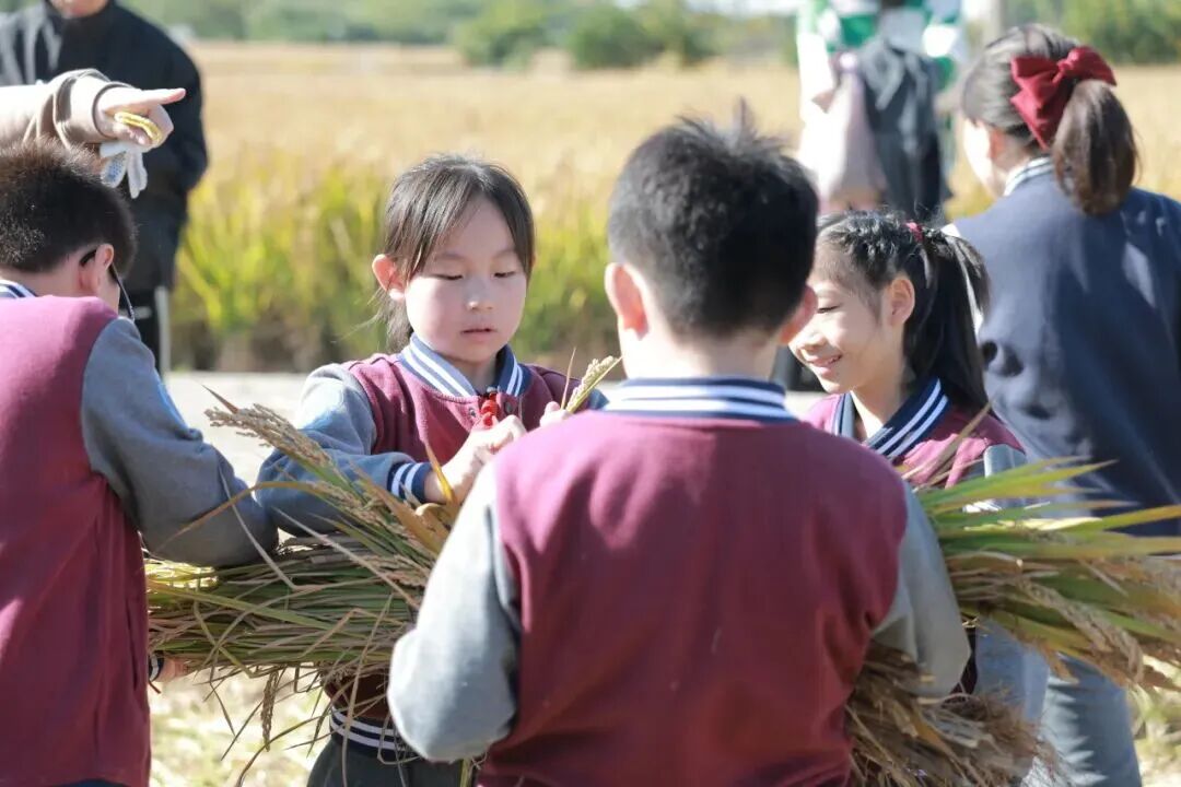 ý�屨�� | ������ġ��������ںϣ������ⳡ���˵����Σ���������PBL��ƵĴ�����