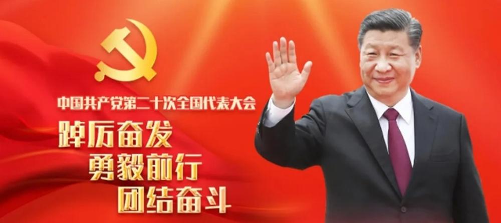 03cc5870-0e32-4a15-9389-8570d5cfe255 03cc5870-0e32-4a15-9389-8570d5cfe255